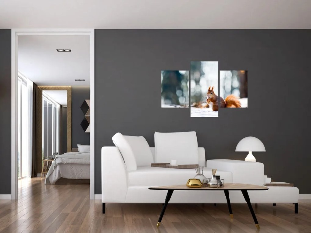 Tablou - Veveriță (90x60 cm)