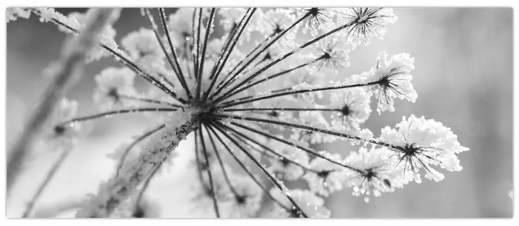 Tablou - Floare în timpul iernii (120x50 cm)