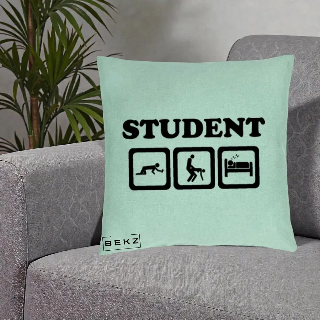 Perna Decorativa Student Life, 40x40 cm, Verde Menta, Husa Detasabila, Perna Inclusa, BEKZ®