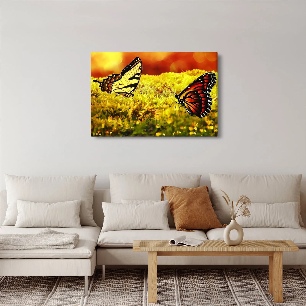 Tablou cu fluturi (90x60 cm)
