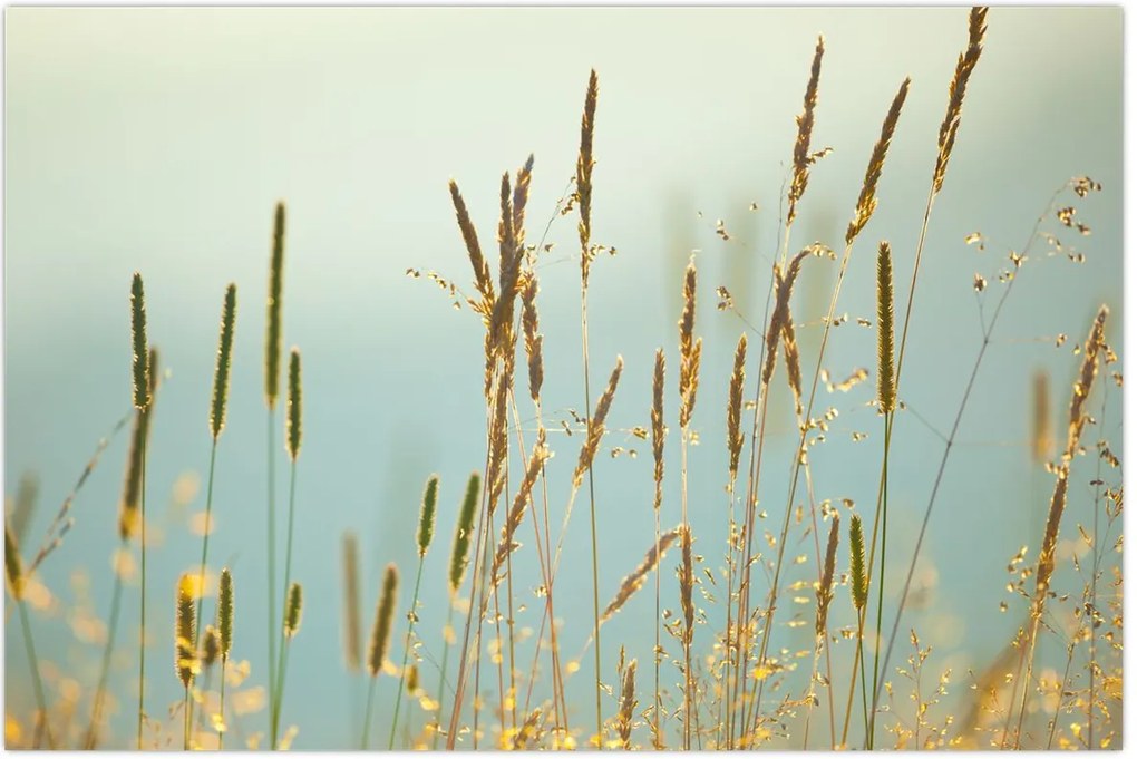 Tablou - Luncă (90x60 cm)