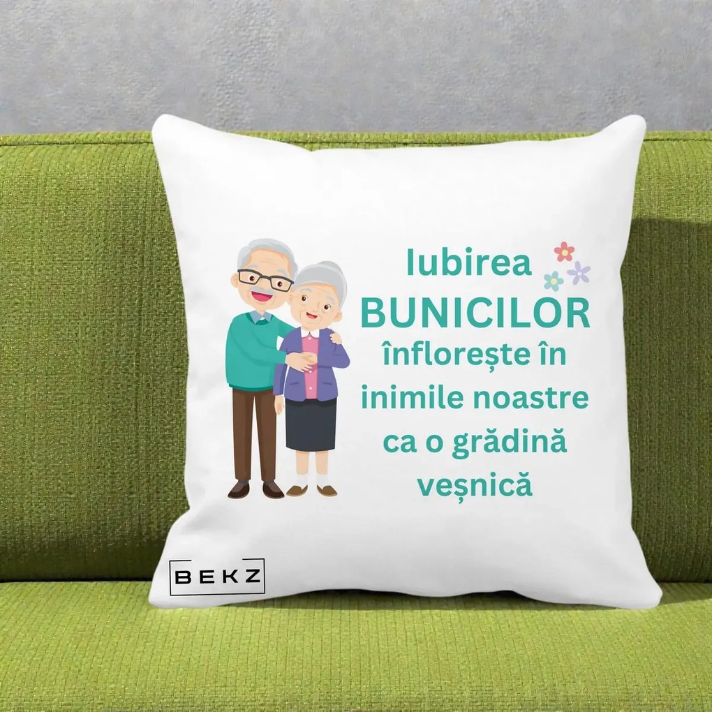 Cadou pentru Bunici - Perna Personalizata Bunicii Iubirea Infloreste Cuplu Senior Teal, 40x40 cm, Alba Mata, Husa Detasabila, Perna Inclusa, BEKZ®