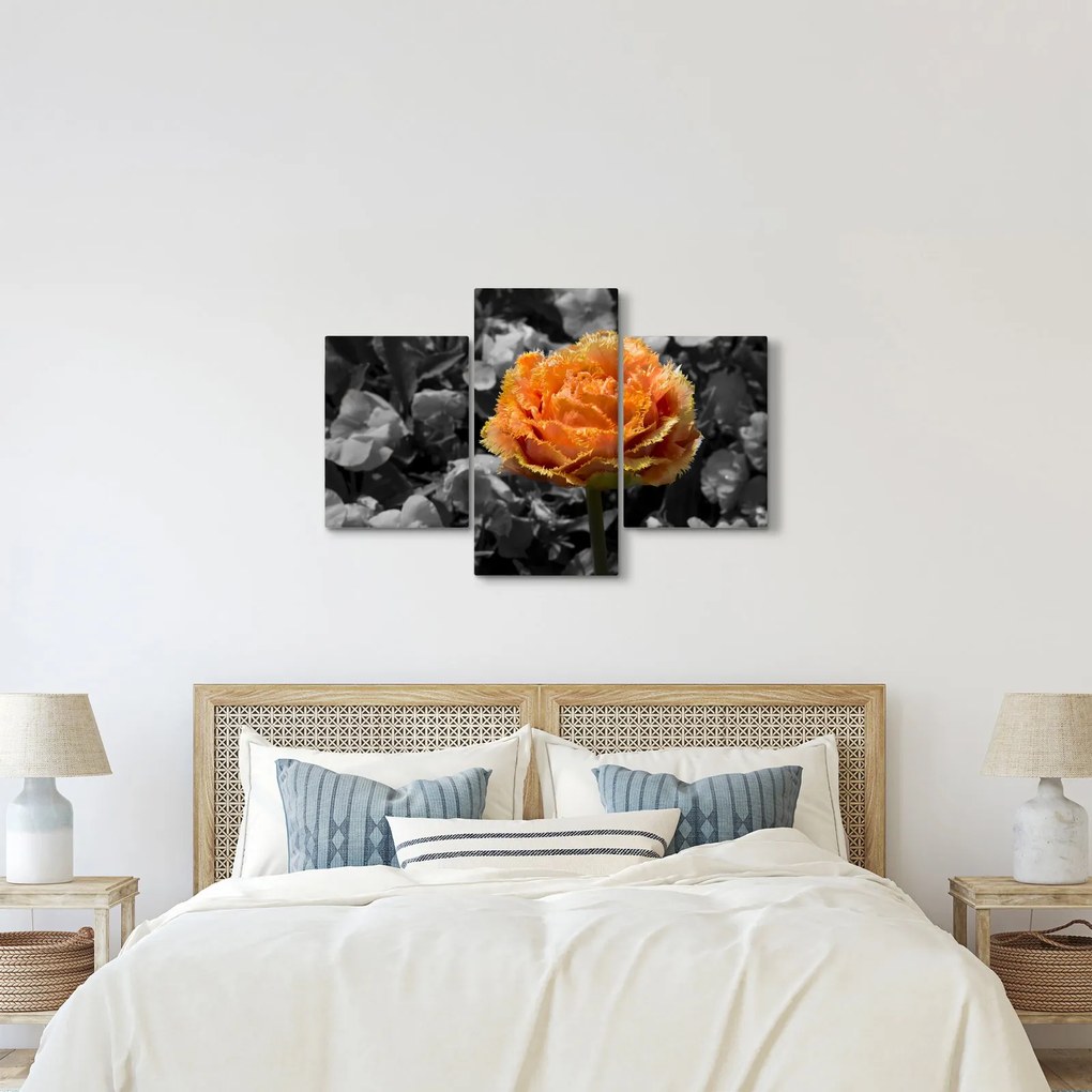 Tablou cu floare (90x60 cm)