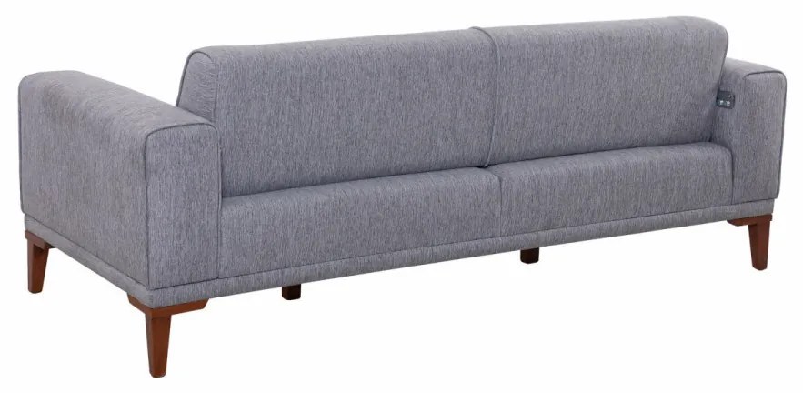 Set Canapea Extensibilă si Fotoliu Liones Tepsili, Gri