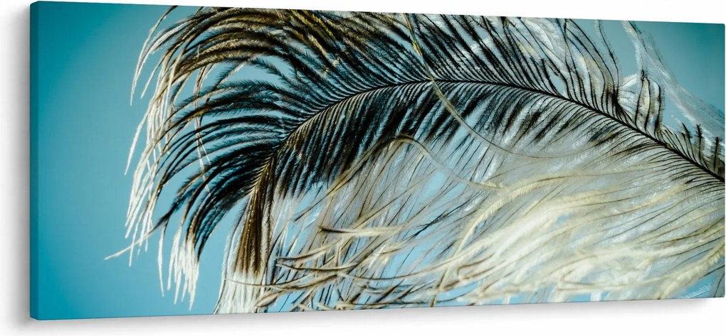 Tablou cu pană (120x50 cm)