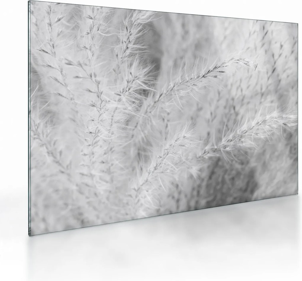 Tablou pe sticlă - Iarbă de pampas N⁰1 (70x50 cm)