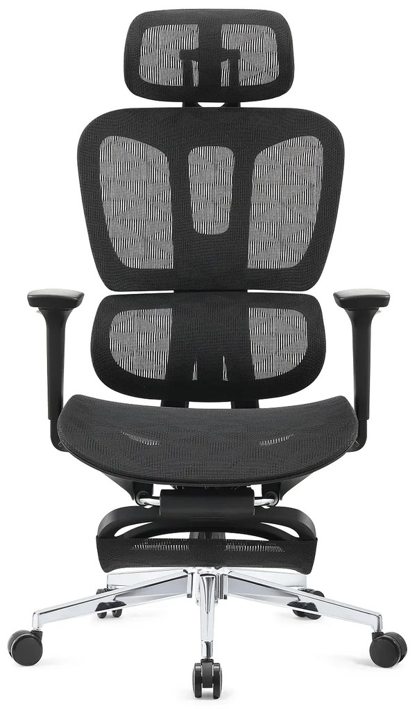 ERGOTHRONE Scaun ergonomic, cotiere 2D, suport picioare, Full Mesh, Negru