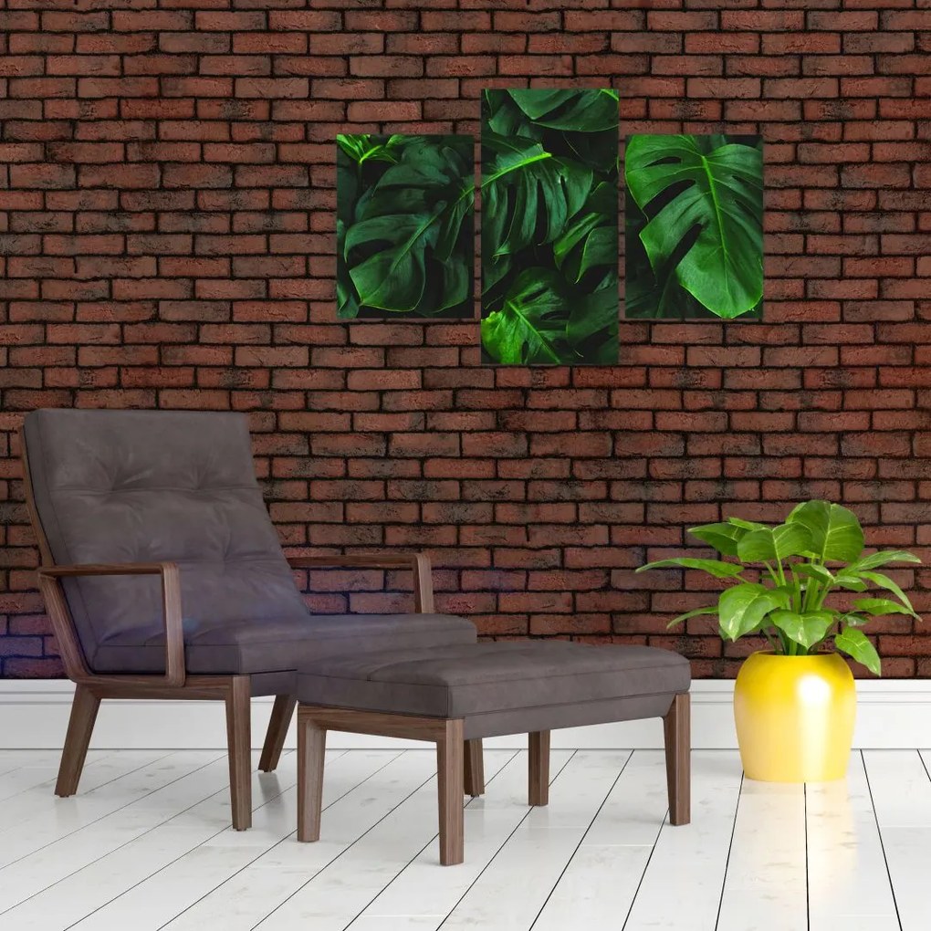 Tablou cu frunze Monstery (90x60 cm)