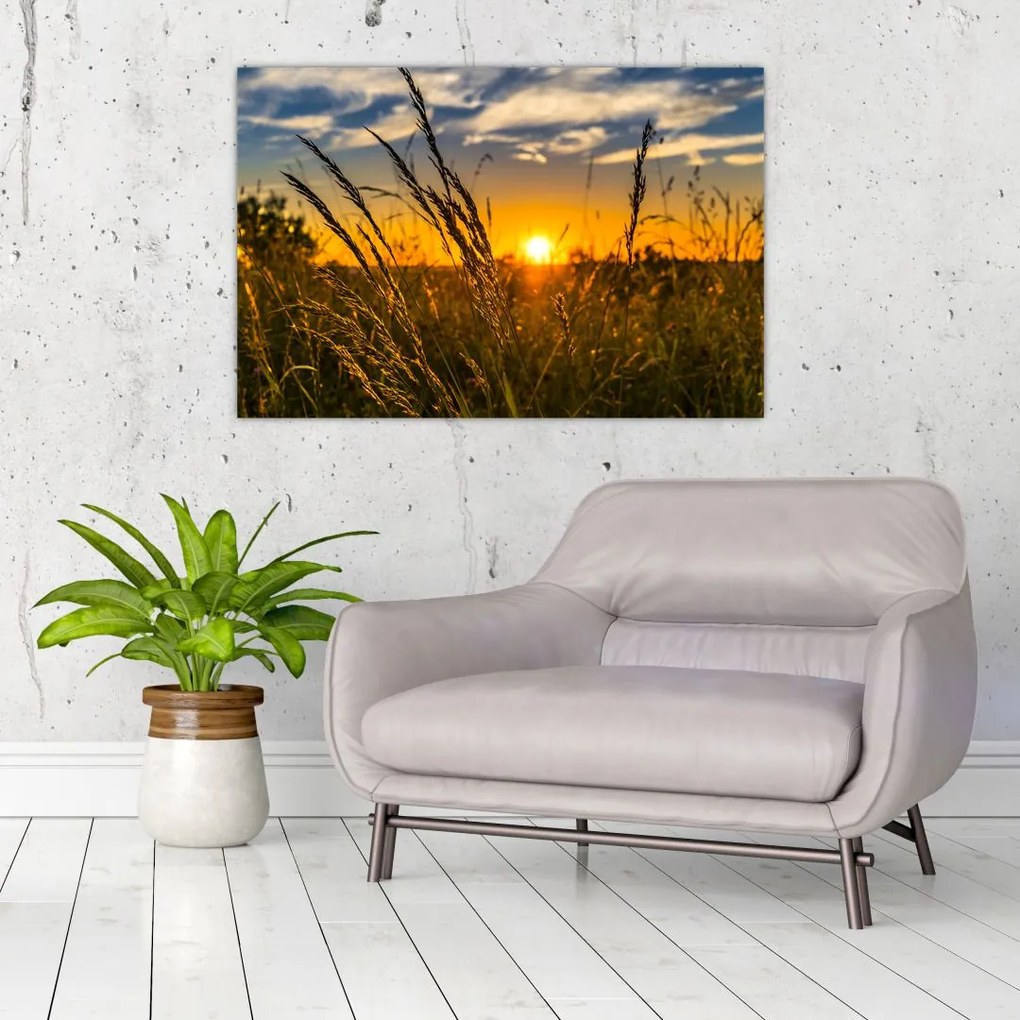 Tablou cu câmp în apus de soare (90x60 cm)