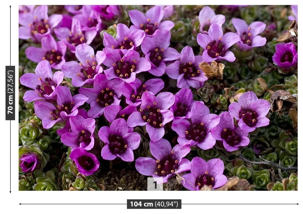 Fototapet Violet Scale