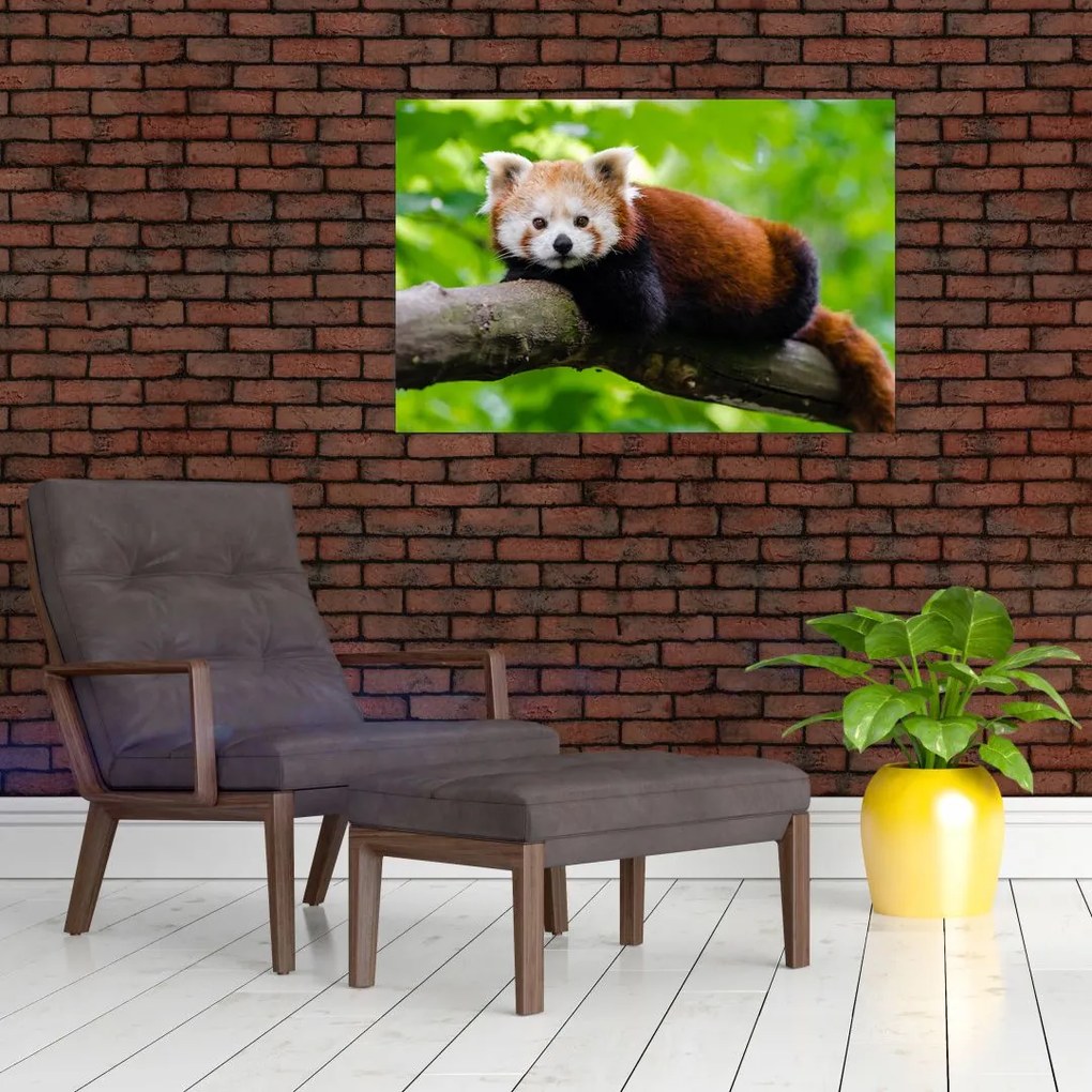Tablou cu panda roșie (90x60 cm)