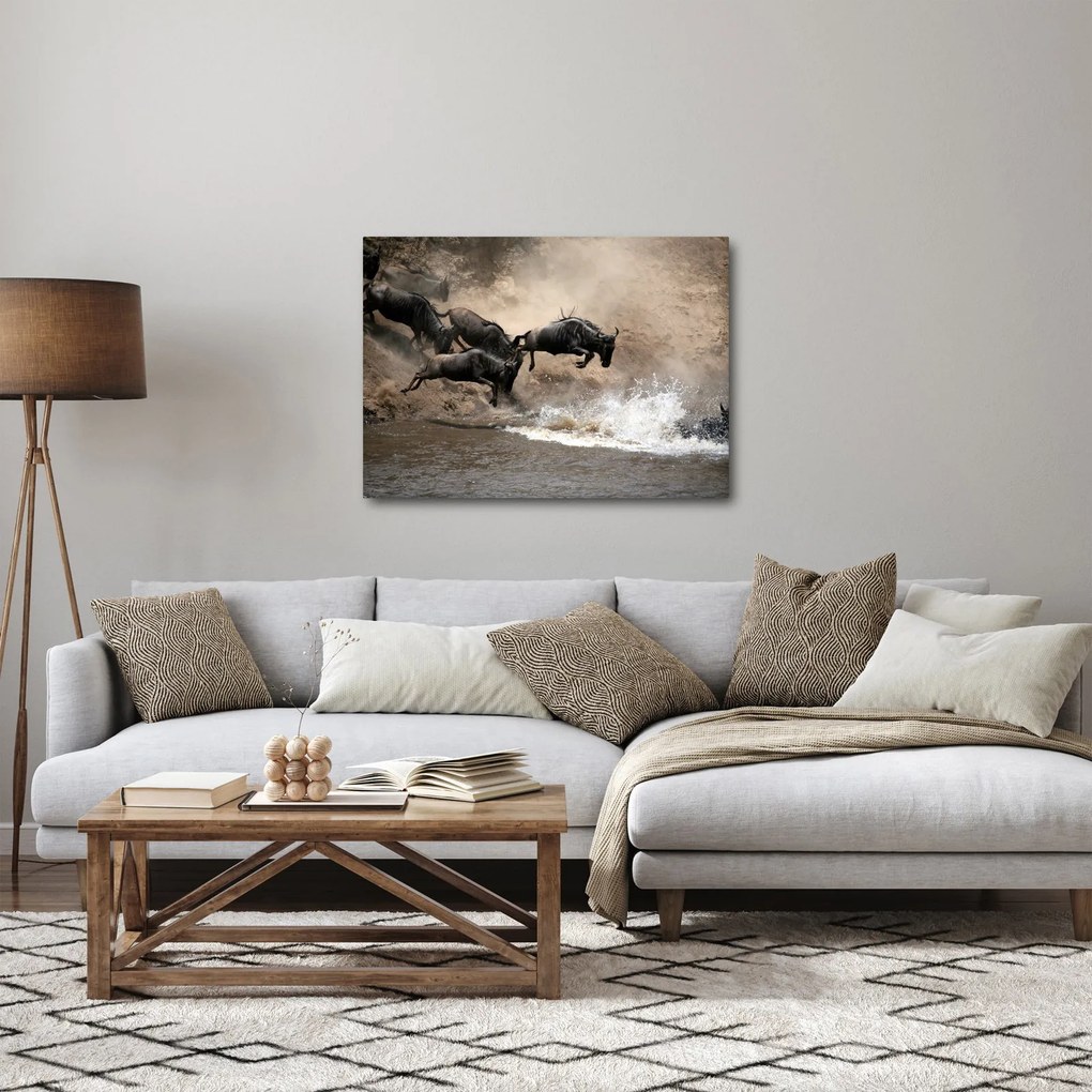 Tablou - Turmă de gnu (70x50 cm)