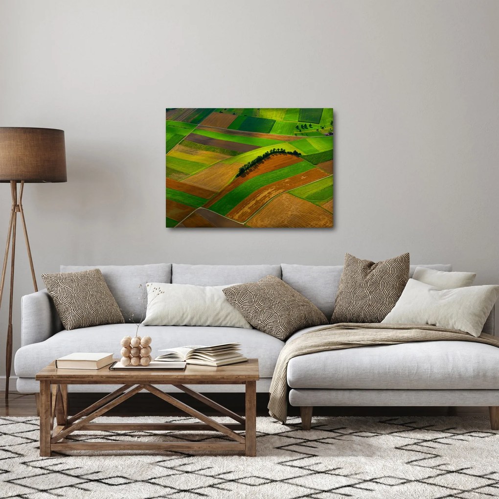 Tablou - Lan, luncile (70x50 cm)