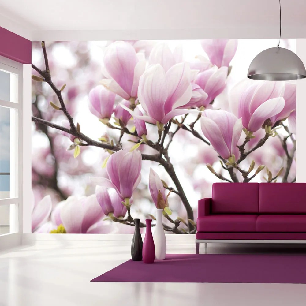 Fototapet Bimago - Magnolia bloosom + Adeziv gratuit 200x154 cm