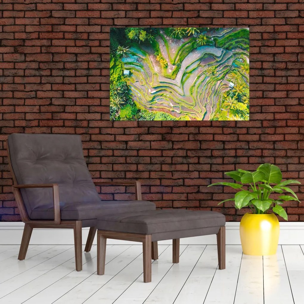 Tablou cu lanuri de orez din privire de sus (90x60 cm)