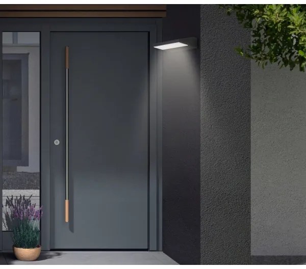 Telefunken - Aplică de perete pentru exterior LED/10W/230V IP44 negru