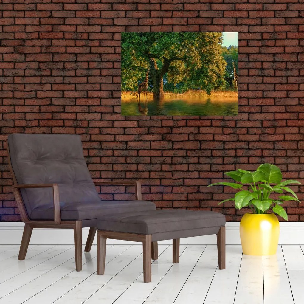 Tablou cu girafe în natură (70x50 cm)