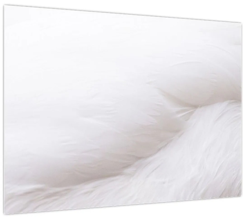 Tablou - Detalii pene (70x50 cm)