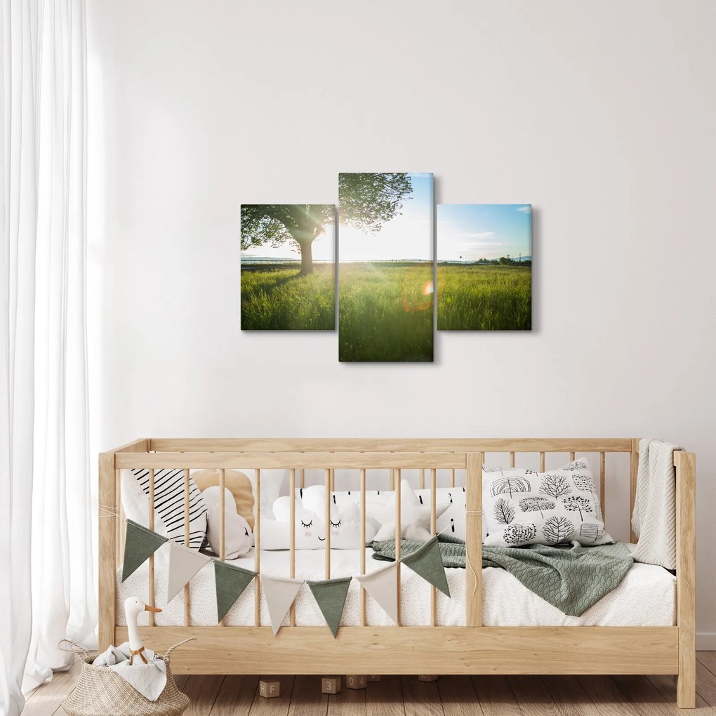 Tablou cu lunca în vară (90x60 cm)