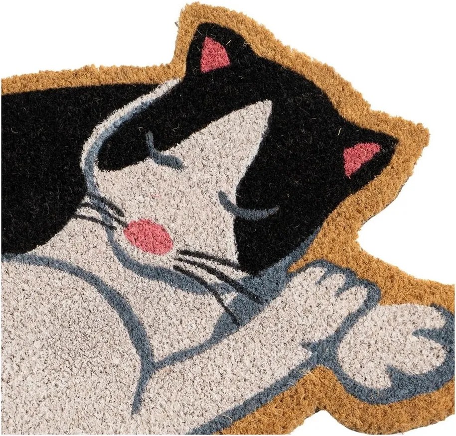 Covoraș de intrare din fibre de nucă de cocos 40x60 cm Cat – Casa Selección