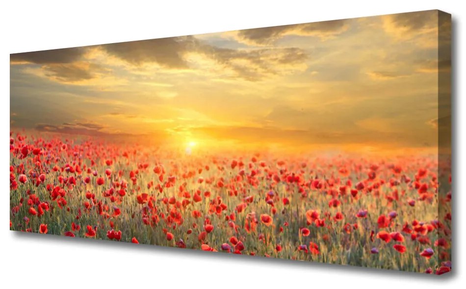 Tablou pe panza canvas Sun Meadow Poppy Flori Natura Galben Roșu Verde