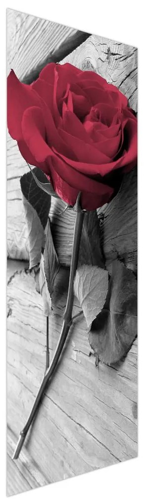 Fotojaluzele R013347R57150 (57x150 cm)