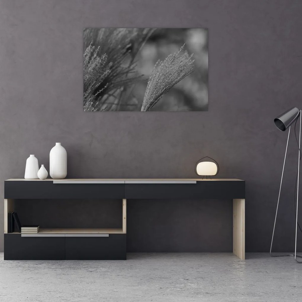 Tablou - Iarbă de pampas uscată (90x60 cm)