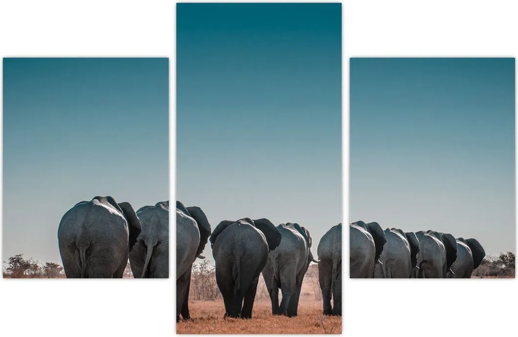 Tablou - Plecarea elefanților (90x60 cm)