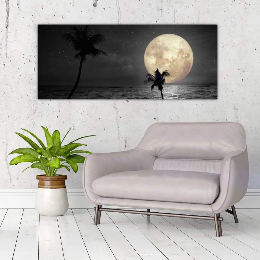 Tablou - Plaja cu lună plină, nuanțe gri (120x50 cm)