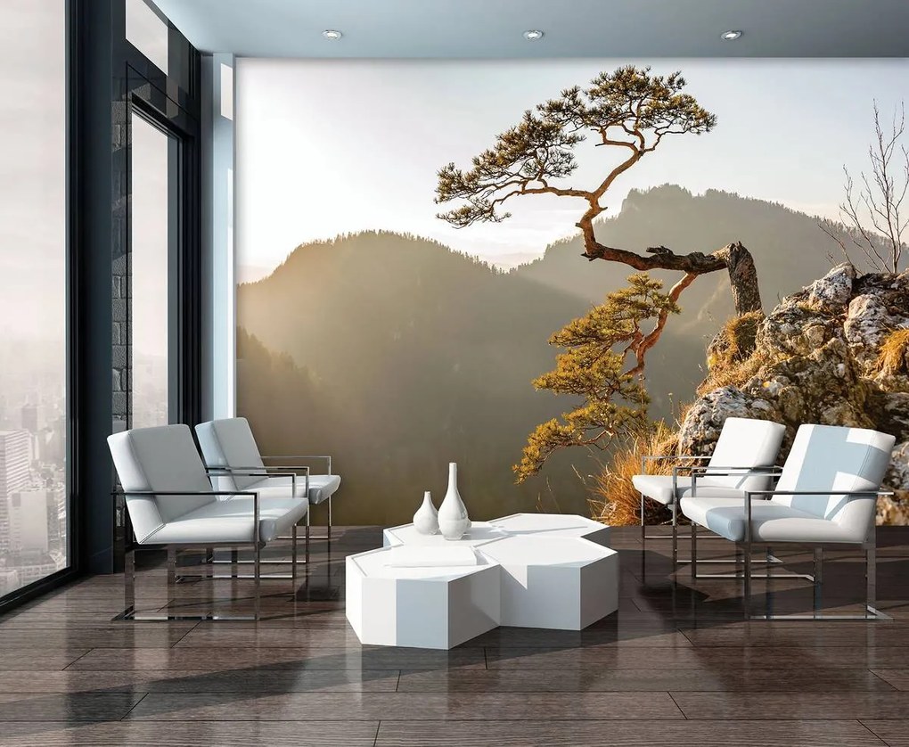 Fototapet - Muntele Pieniny (152,5x104 cm)