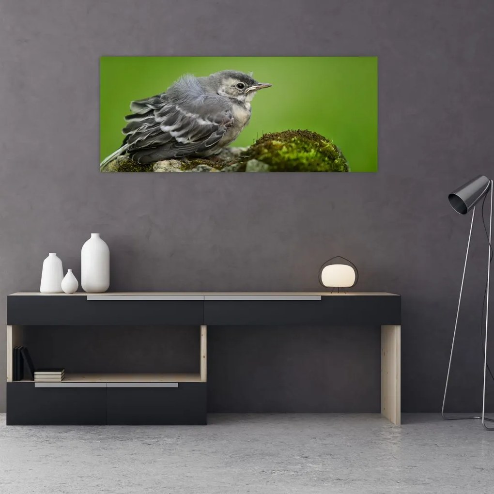 Tablou - Muscarul (120x50 cm)