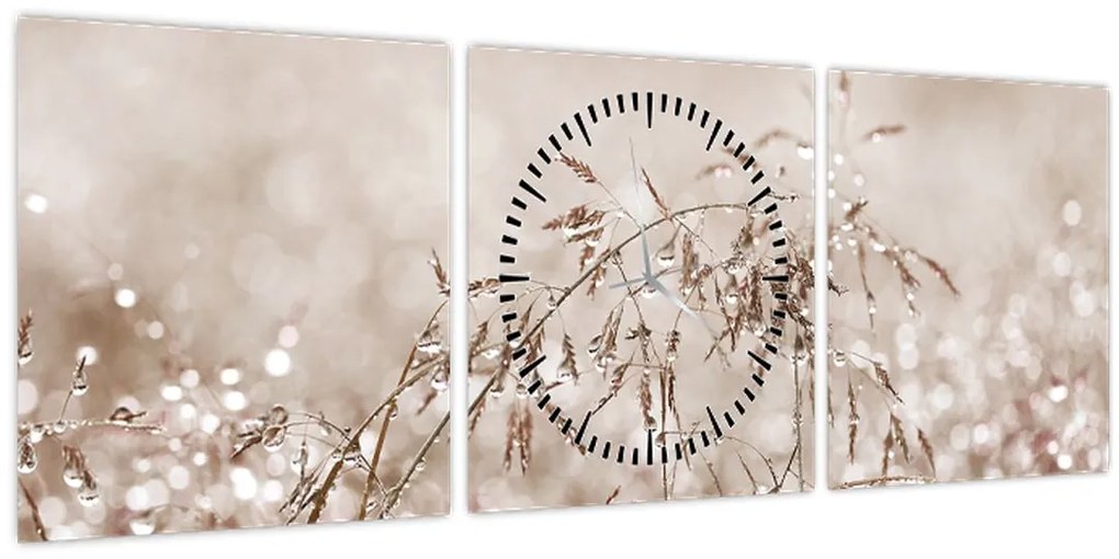 Tablou - Pajiște în tonuri de maro (cu ceas) (90x30 cm)