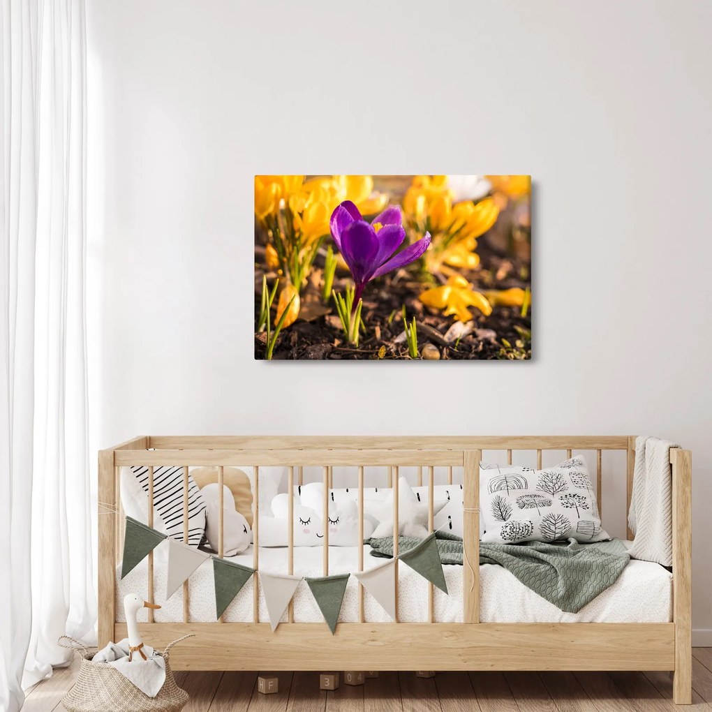 Tablou cu floare violetă (90x60 cm)