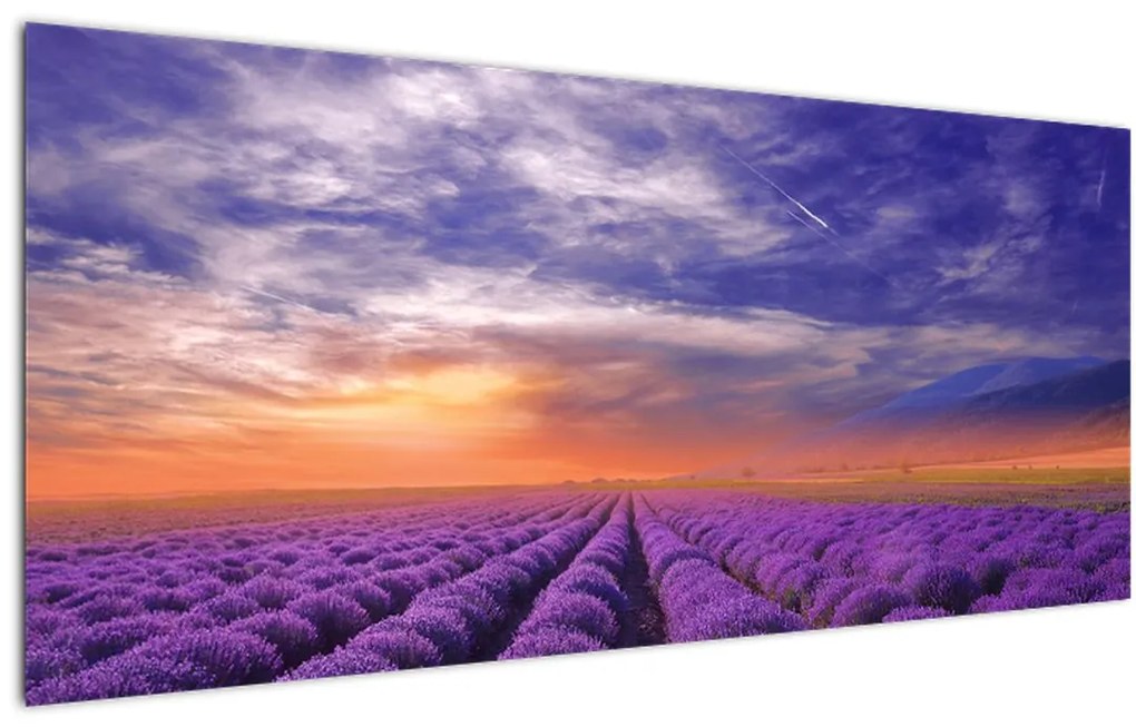 Tablou câmpului cu lavandă (120x50 cm)