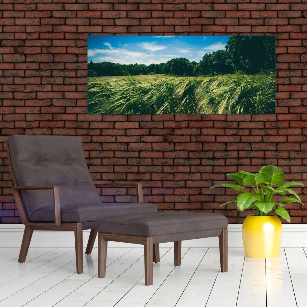 Tablou cu linca și pădure (120x50 cm)