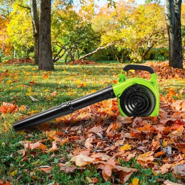 Aspirator de grădină pe benzină Fieldmann 800W