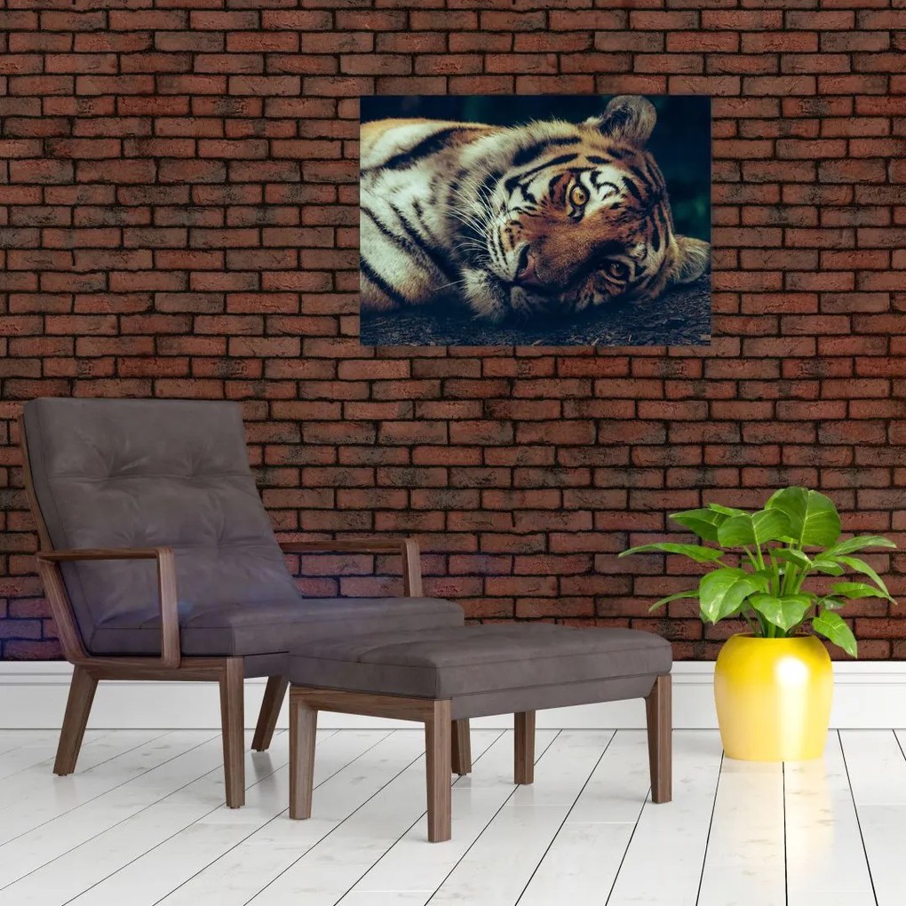 Tablou - Tigrul Siberian (70x50 cm)