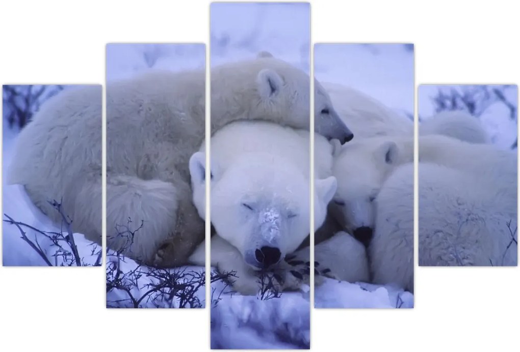 Tablou - Urși polari (150x105 cm)