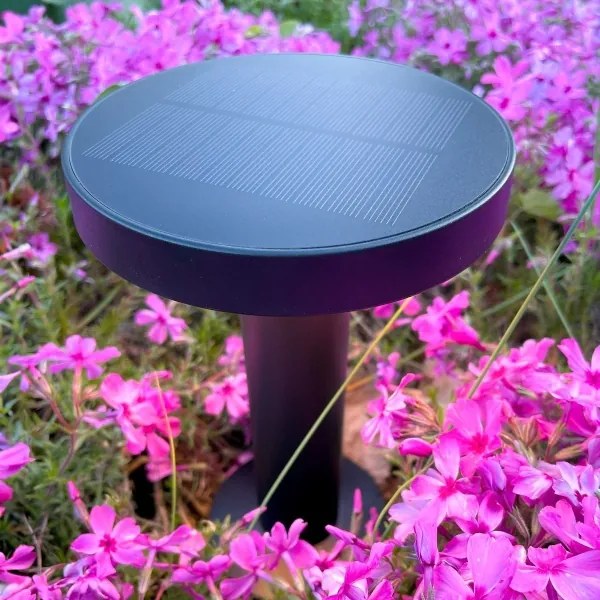 Lampă LED solară Zuma Line DT33611 CARLI LED/2W/2000 mAh IP44 negru