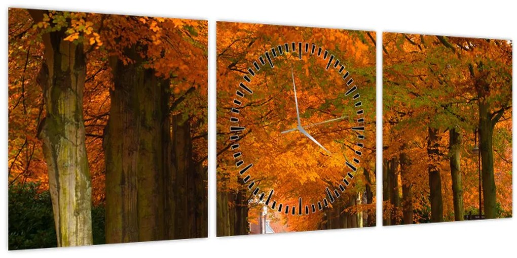 Tablou - Bulevardul de copaci în toamnă (cu ceas) (90x30 cm)