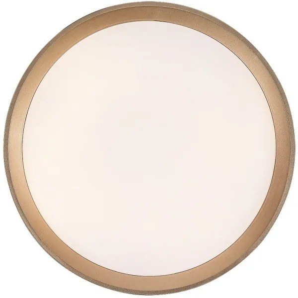 Plafonieră LED Rabalux 71185 LIATRIS LED/25W/230V 3000K d. 38 cm