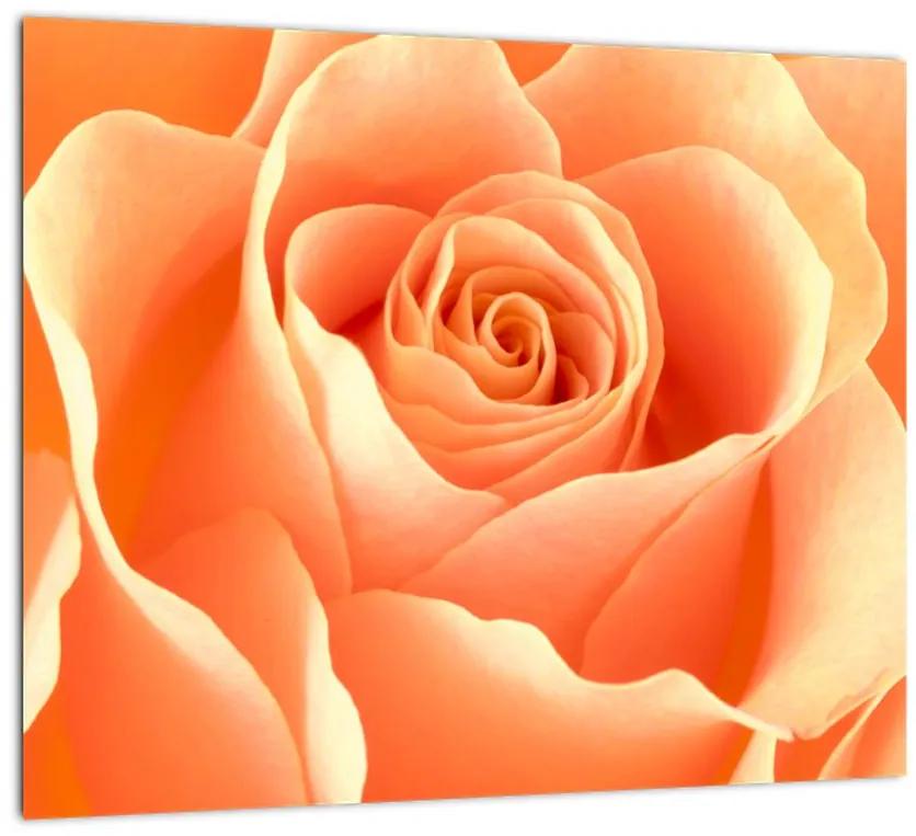 Tablou - trandafiri portocalii (Tablou)