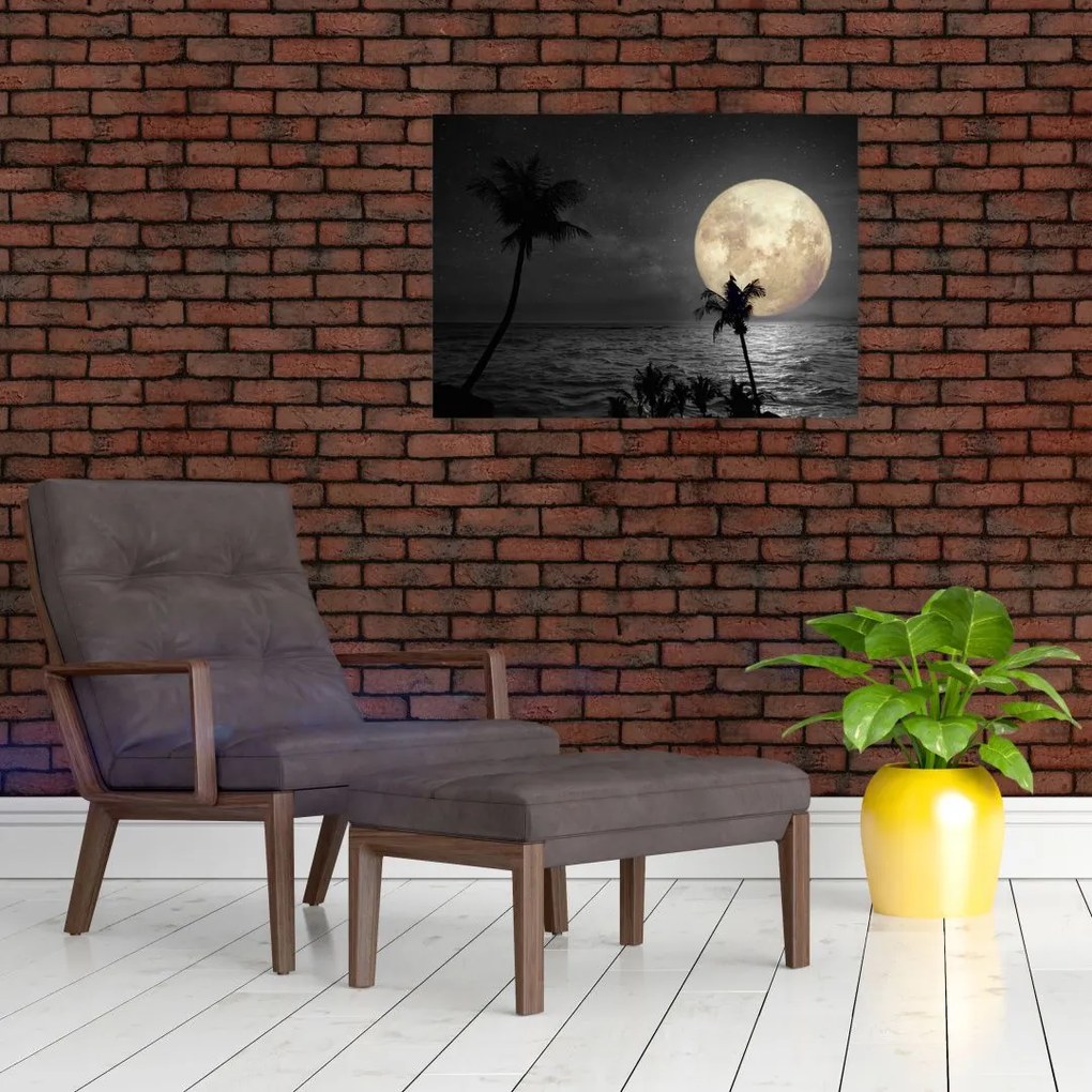 Tablou pe sticlă - Plaja cu lună plină, nuanțe gri (70x50 cm)