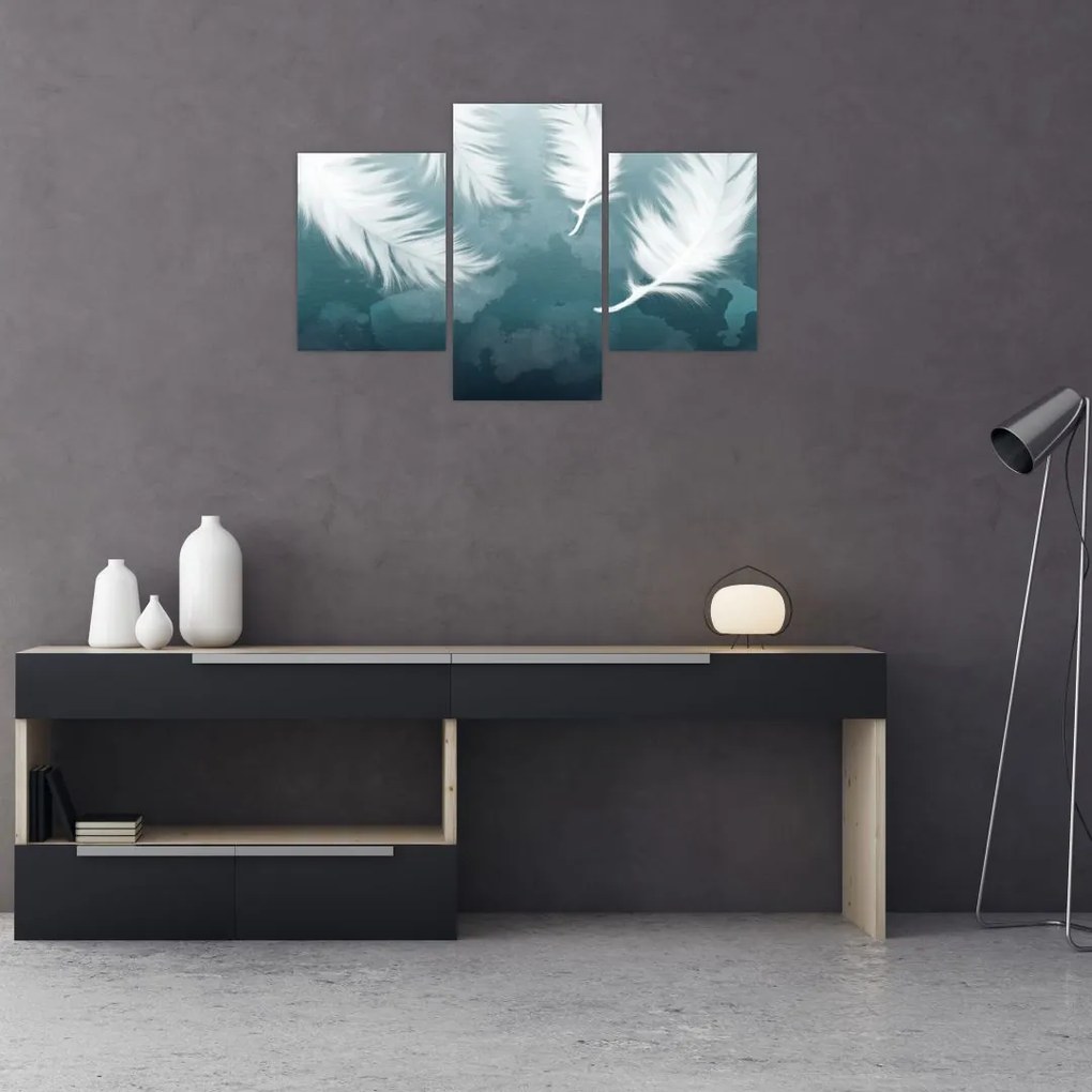 Tablou - Pene albe (90x60 cm)