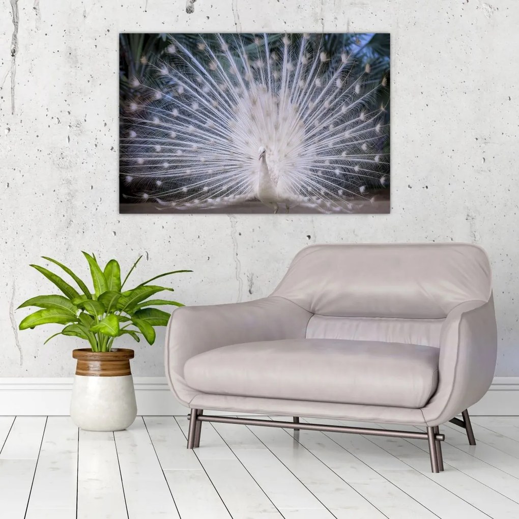 Tablou - Păun alb (90x60 cm)