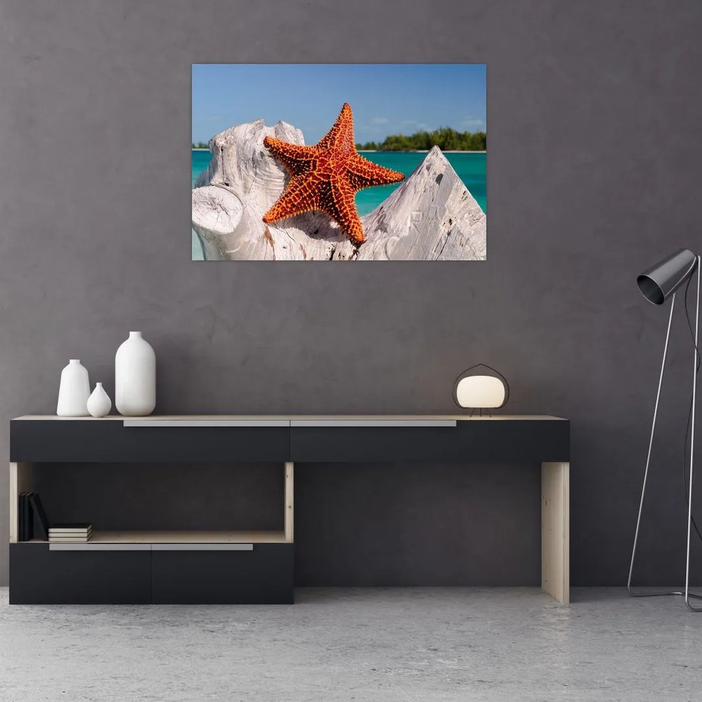 Tablou cu stea de mare (90x60 cm)