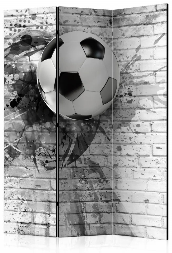 Paravan - Dynamic Football [Room Dividers]