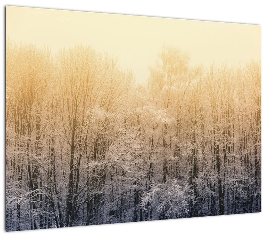 Tablou cu pădure geroasă (70x50 cm)