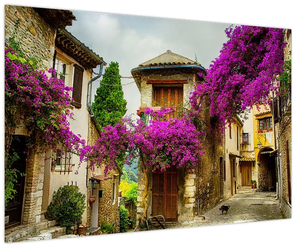 Tablou - Alee mediteraneană leneșă (90x60 cm)