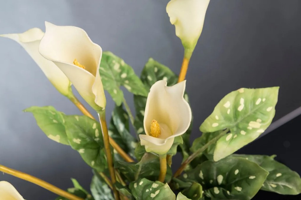 Aranjament floral design LUX ALFEO CALLA TRIS alb